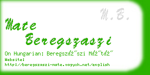 mate beregszaszi business card